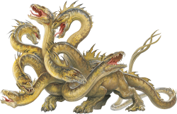 The Hydra The Hydra