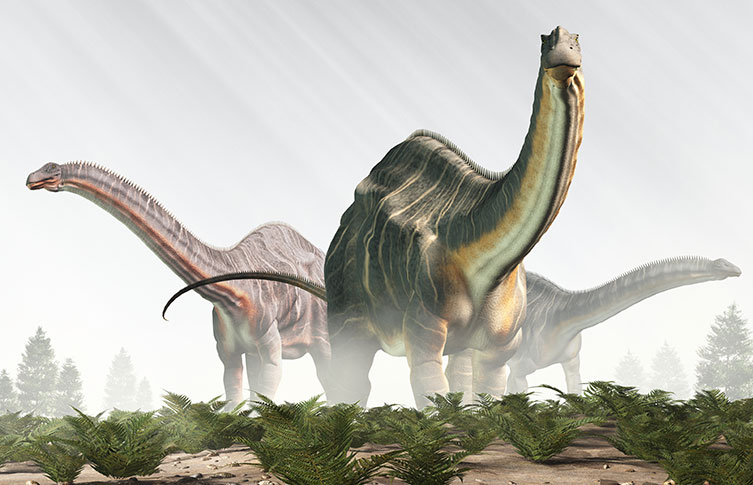 Three Brontosauruses